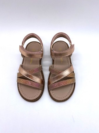 ASTER Tessia Rose Clair