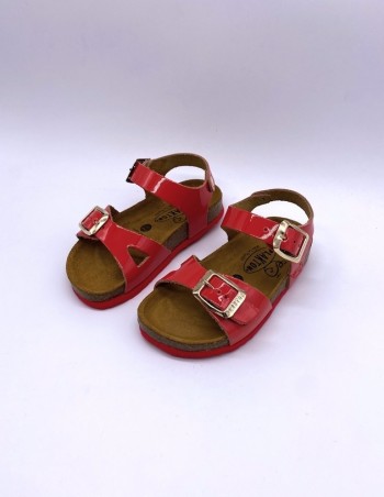 PLAKTON Lisa Charol Piel Coral