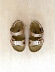 PLAKTON Poxy Marylin Rose