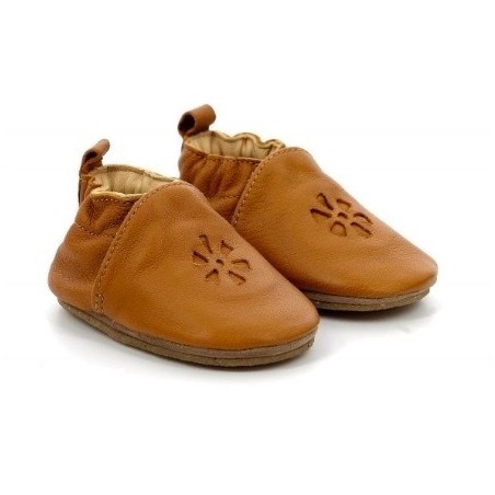 ASTER Lazeez Camel