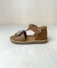 POM D'API Poppy Daisy Camel