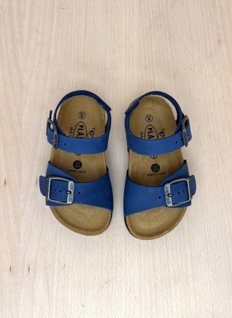 PLAKTON Louis Nobuck2 Limnea