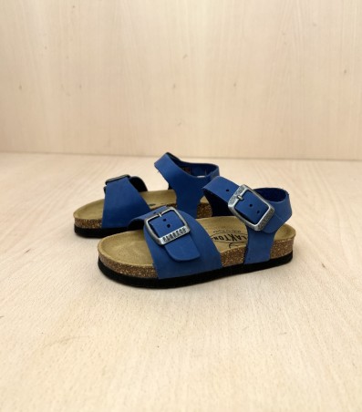 PLAKTON Louis Nobuck2 Limnea