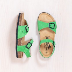 PLAKTON Louis Teen Afelpado Verde