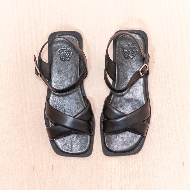 APPLE OF EDEN Sol Black