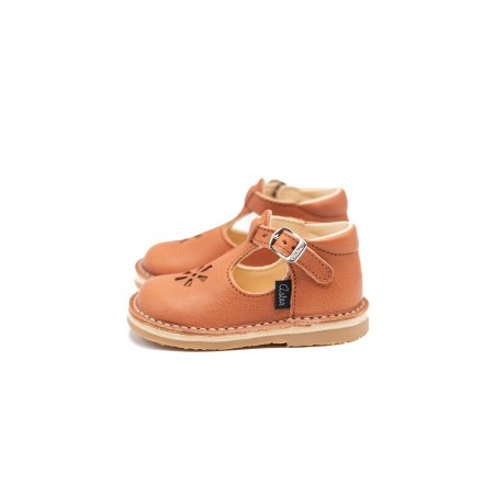 ASTER Bimbo Rouge Terracotta