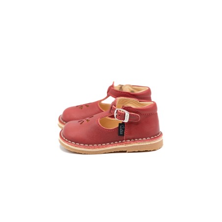 ASTER Bimbo Rouge