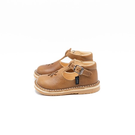 ASTER Bimbo Camel