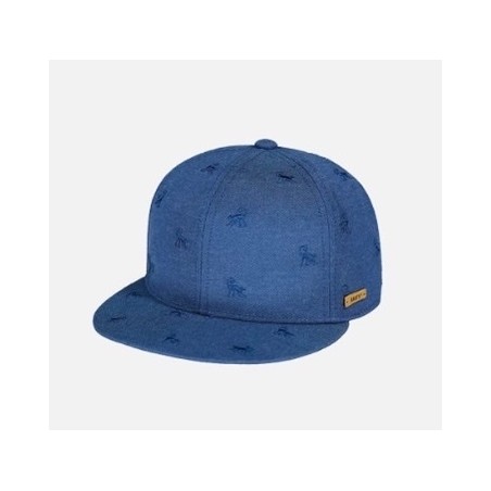 BARTS Pauk Cap Blue