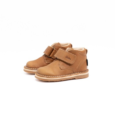 ASTER - Abocratch Camel