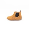 POM D'API - Stand up longbeach camel