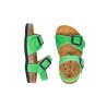 PLAKTON Louis Afelpado Verde