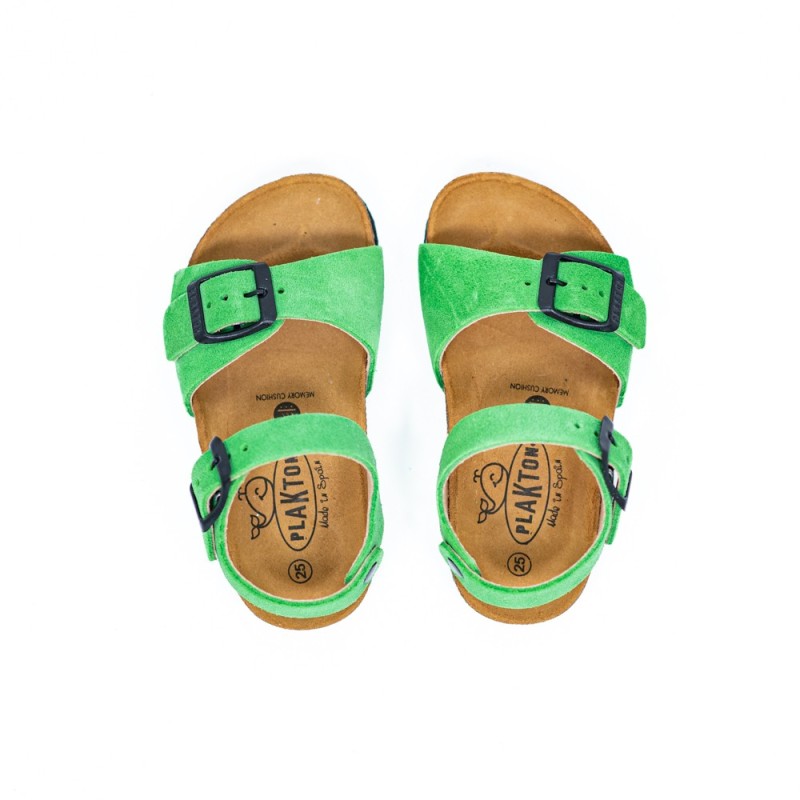 PLAKTON Louis Afelpado Verde