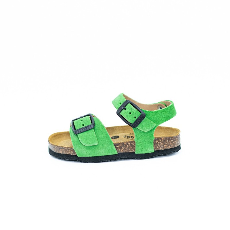 PLAKTON Louis Afelpado Verde