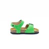 PLAKTON Louis Afelpado Verde