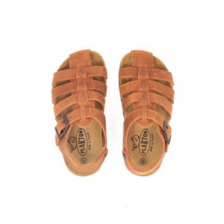 PLAKTON Sandale Pele Apure Cuero 534X