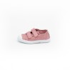CIENTA - 78997 Rosa Antic
