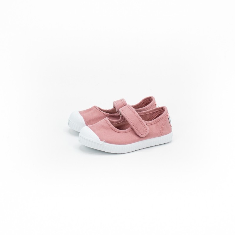 CIENTA - 76997 Rosa 2010