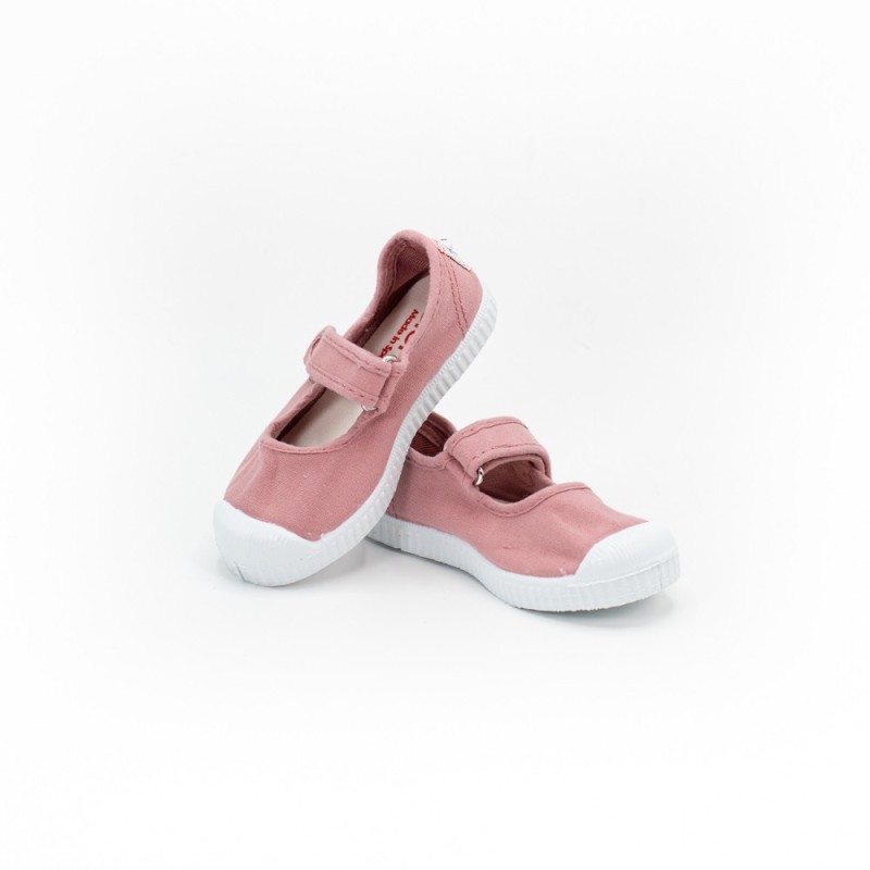 CIENTA - 76997 Rosa 2010