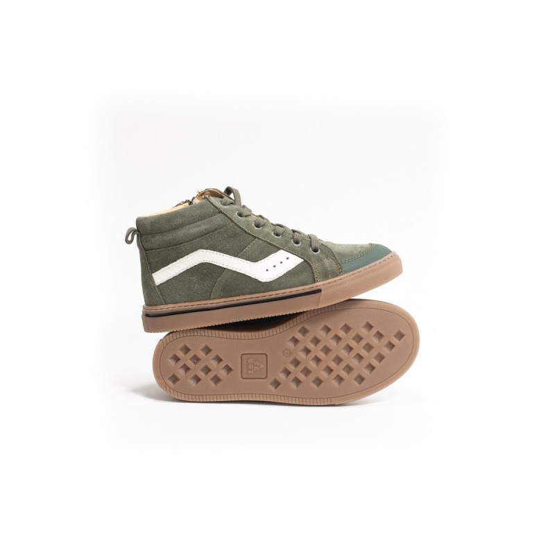 ACEBOS 80083 Aloe