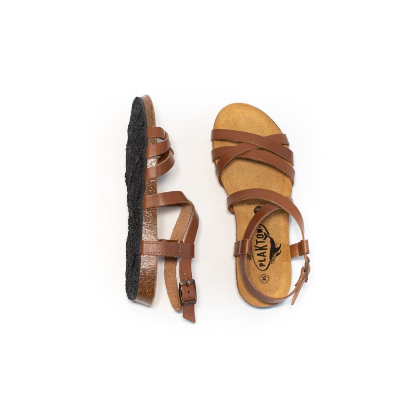 PLAKTON Fran Vali Vaquetilla Roble