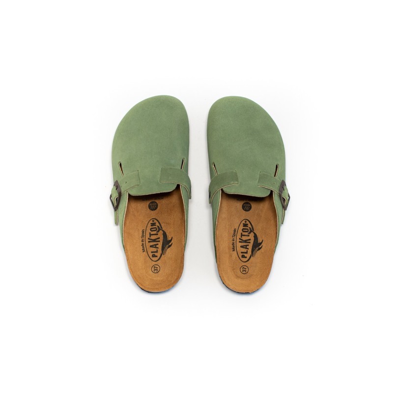 PLAKTON Blogg Afelpado Aloe