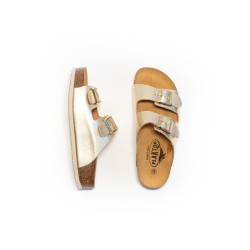 PLAKTON Cp Beta Copell Champan