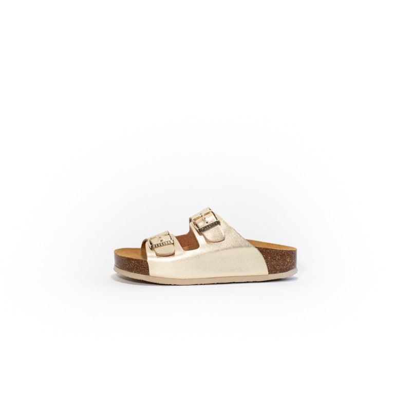 PLAKTON Cp Beta Copell Champan