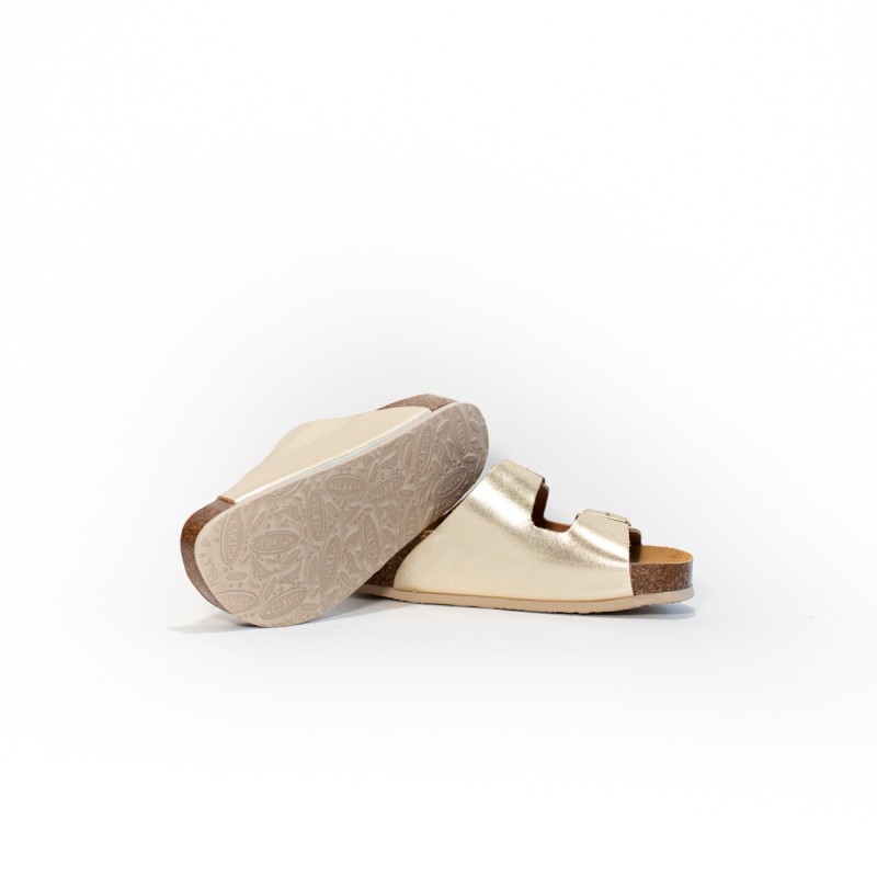 PLAKTON Cp Beta Copell Champan