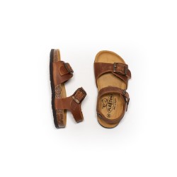 PLAKTON Louis Apure roble 225X