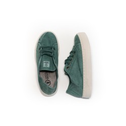 NATURAL WORLD 6114E Albahaca