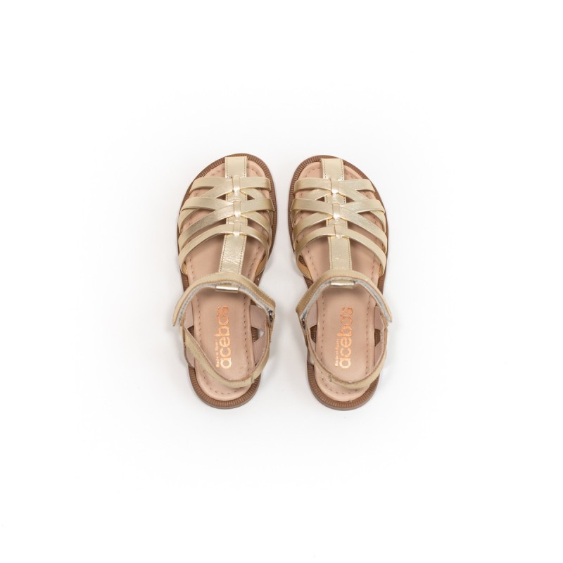 ACEBOS 8012ET Platino