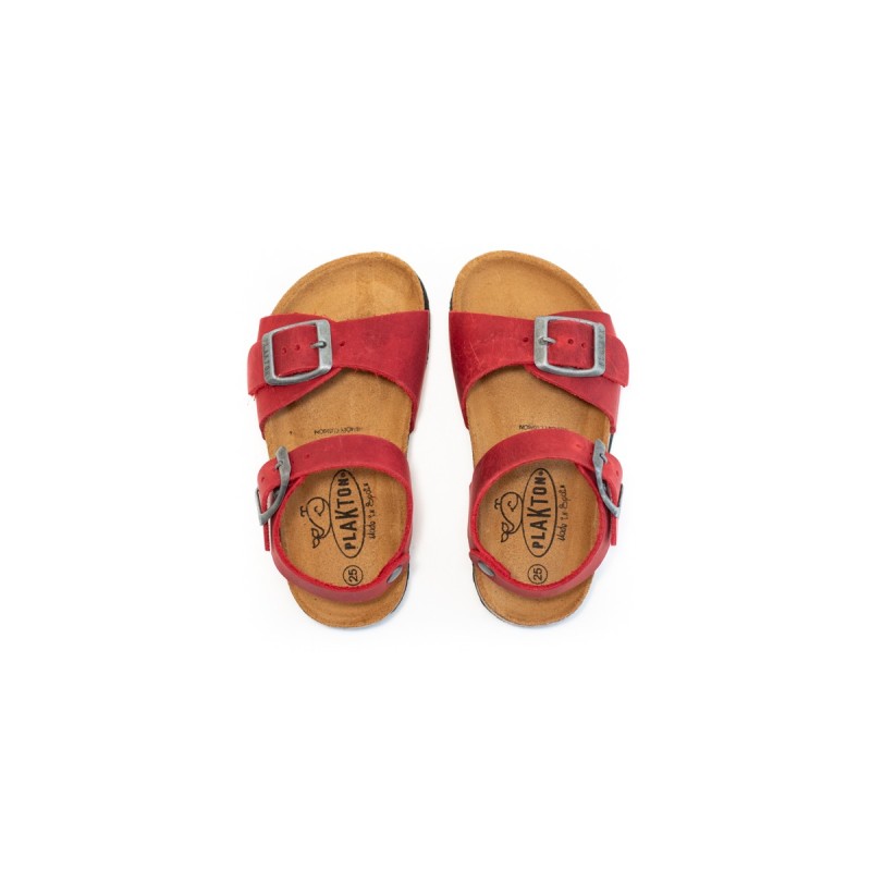 PLAKTON Louis Apure Rojo556X