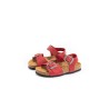 PLAKTON Louis Apure Rojo556X