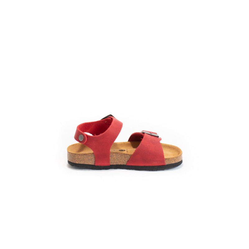 PLAKTON Louis Apure Rojo556X