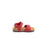 PLAKTON Louis Apure Rojo556X