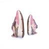 OCRA D365 Extra Pink Ray
